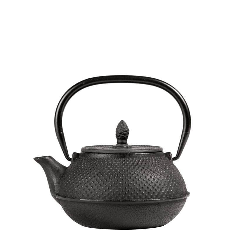 Stylish iron Japanese teapot