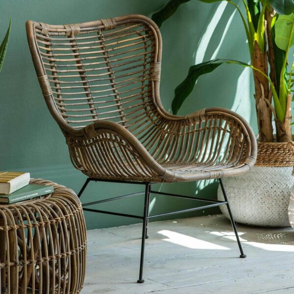 Scandi Lounger Rattan Chair next to tall plant