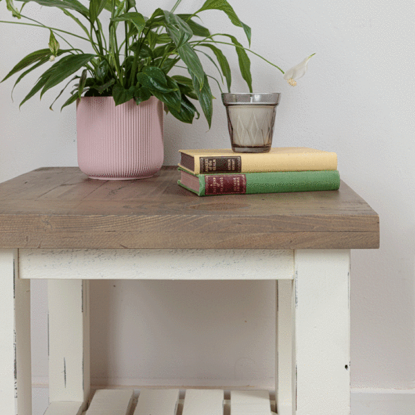 front close up of top half of modern farmhouse side table with books, candle and plant on top