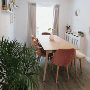 modern light oak table set in white small dining room next to large green indoor plant