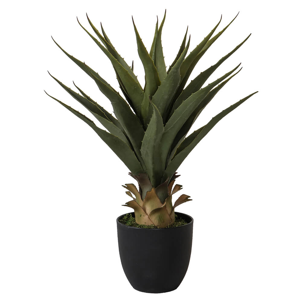 Artificial Agave Succulent In Pot Insideout Living