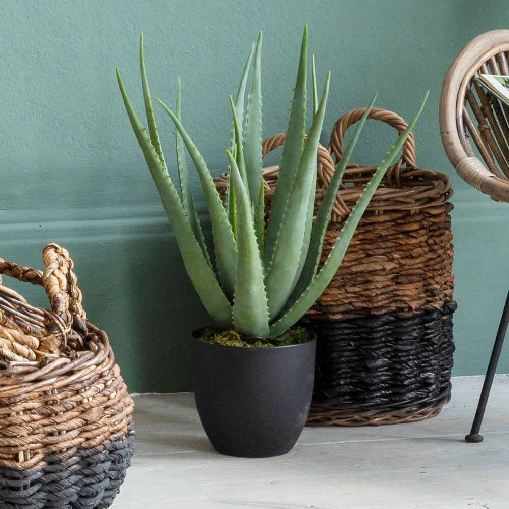Artificial Potted Aloe Vera InsideOut Living