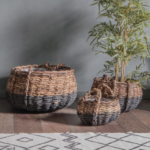 Round woven baskets with plant placed in one sat on wood flooring with patterned rug