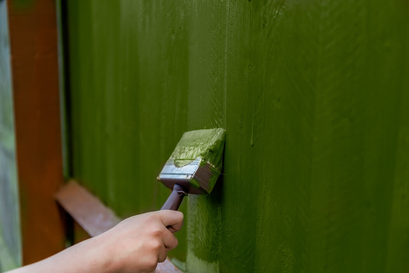 painting old wooden fence with a green paint