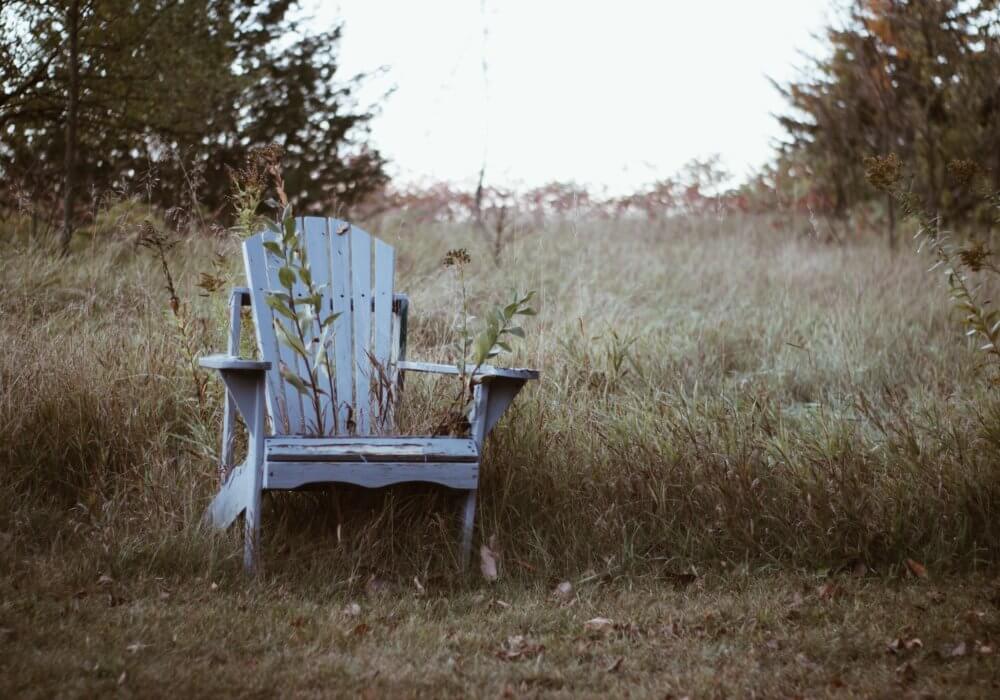 Old chair sat in an overgrown meadow