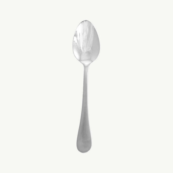 shipley-stainless-spoon_1