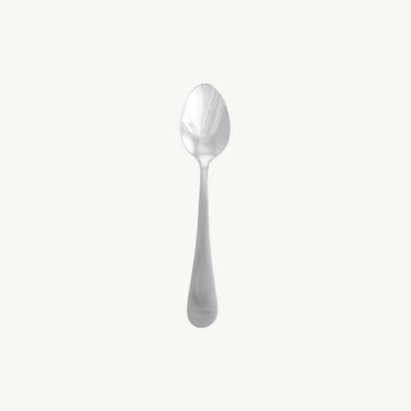 shipley-stainless-steel-teaspoon_1