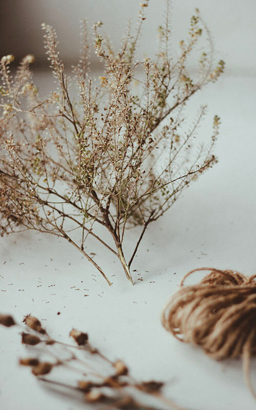 crafting-a-dried-flower-wreath