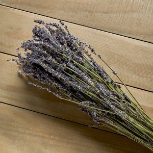 Lavender Dried Stems Mauve
