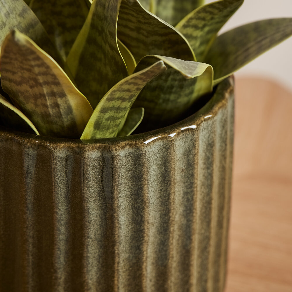 close up of Selset plant pot with plant in it