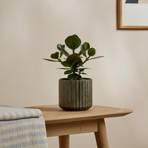Selset Plant Pot Small Green