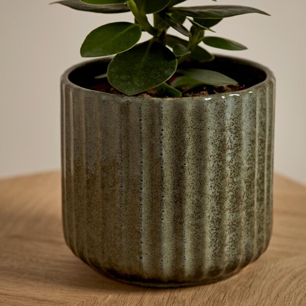 Selset Plant Pot Small Green