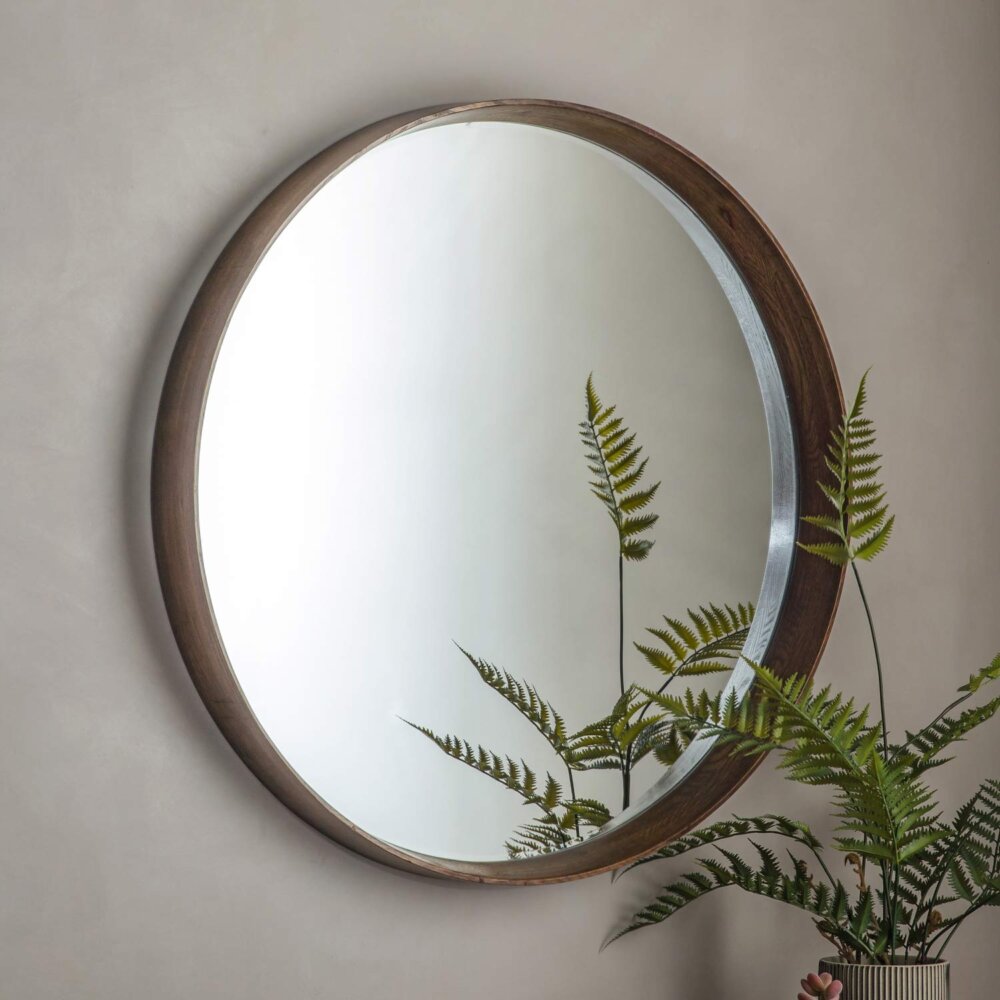 Solent mirror hung on wall with plant placed in front of it