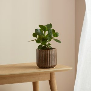 Selset Plant Pot Small Fawn