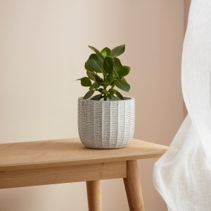 Gailey Plant Pot Small White