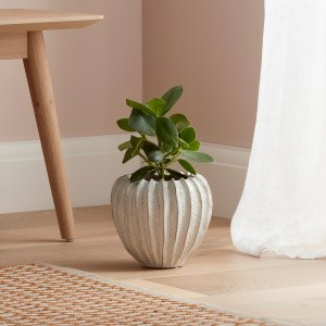 Chelburn Plant Pot Small Off White
