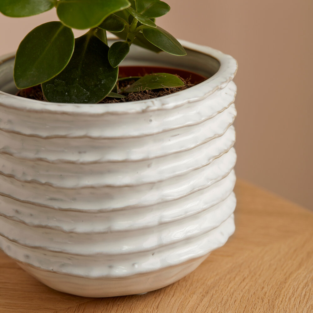 Mossy Plant Pot Small Off White